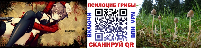 купить наркотики цена  ссылка на мегу онион  Псилоцибиновые грибы Magic Shrooms  Калач-на-Дону 